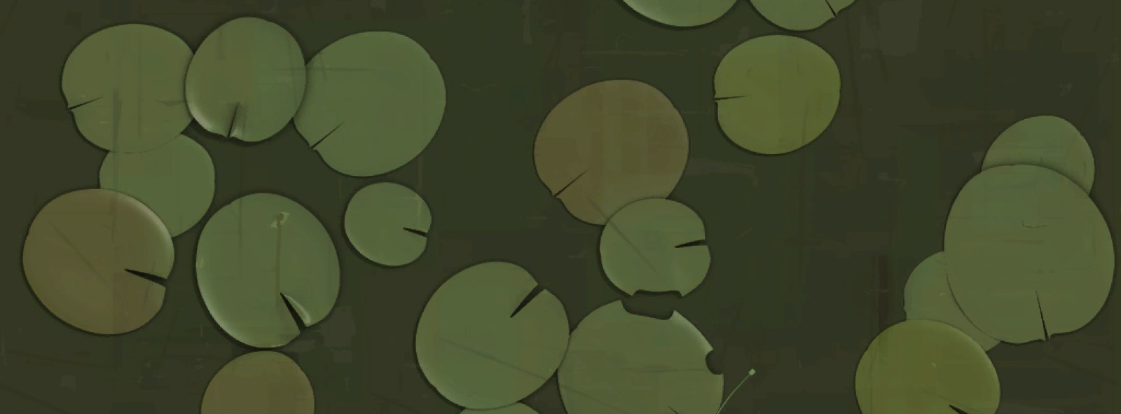 Alim K. cover photo